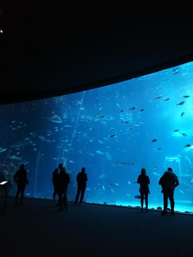 Las Canteras Aquarium ラスパルマス・デ・グランカナリア エクステリア 写真