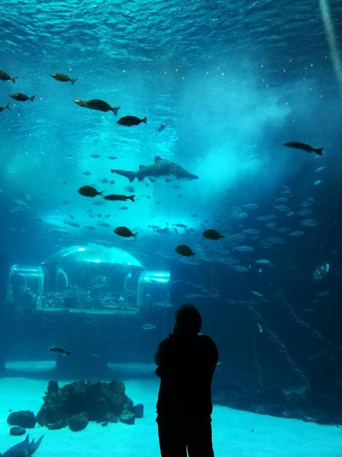 Las Canteras Aquarium ラスパルマス・デ・グランカナリア エクステリア 写真