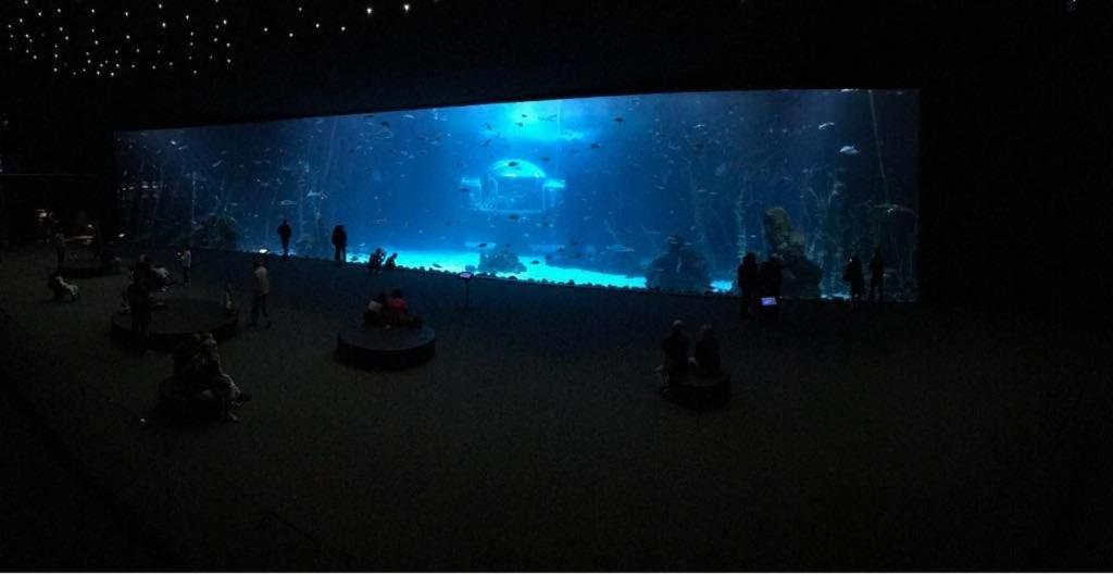 Las Canteras Aquarium ラスパルマス・デ・グランカナリア エクステリア 写真